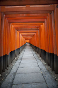 Torii gate at fushimi inari taisha