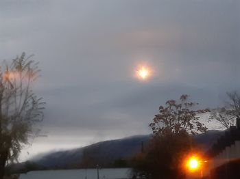 Trees against sky during sunset