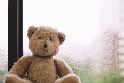 Teddy bear against condensed window