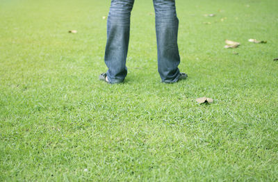 Low section of person on grassy field