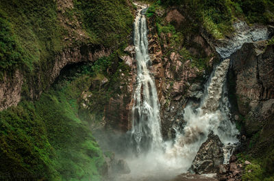 Scenic view of waterfall in forest