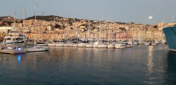 Boats in harbor