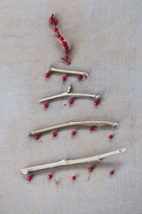 Directly above shot of berries and twigs arranged on table