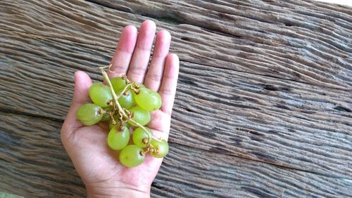 Close-up of hand holding fruit