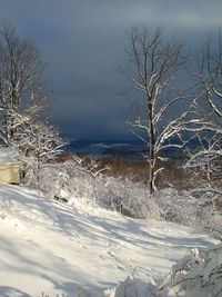 Snow covered landscape