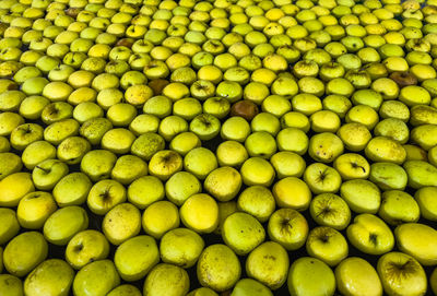 Full frame shot of fruits