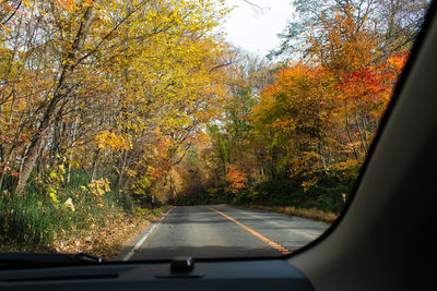 Road amidst trees seen through car windshield