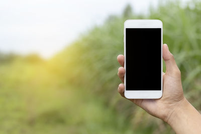 Midsection of person holding smart phone