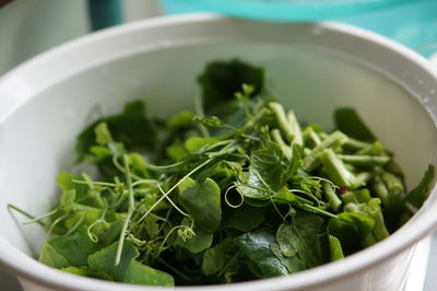 Close-up of salad in bowl