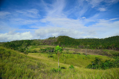 Scenic view of land against sky