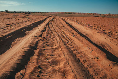 Tire tracks on desert