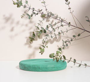 Round green wooden platform and eucalyptus branch on a beige background. place to showcase products