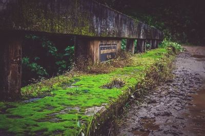 Empty footpath by old building
