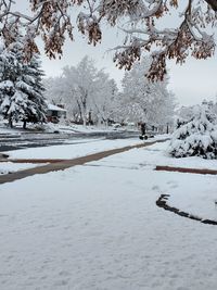 Scenic view of snow covered land