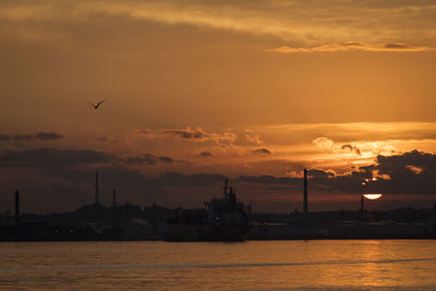 Silhouette birds flying over sea against orange sky