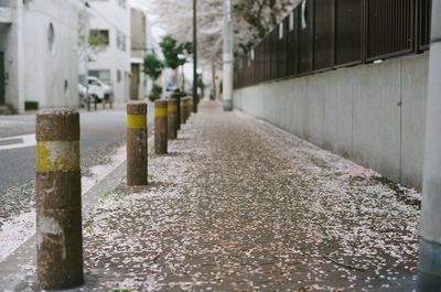 Wet walkway