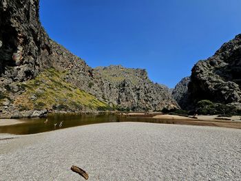 nature