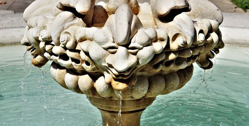 Close-up of statue against water