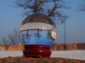 Upside down image of tree reflecting in crystal ball