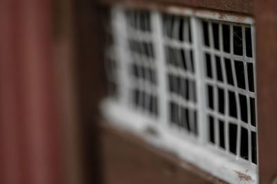 Close-up of window of building