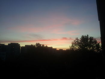 Silhouette of trees at sunset