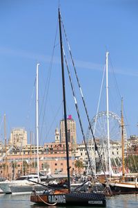 Sailboats moored at harbor against sky