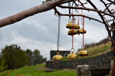 Close-up of golden bells hanging on branches against sky