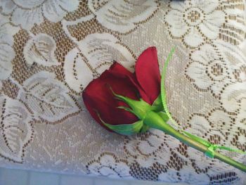 Close-up of red rose on table