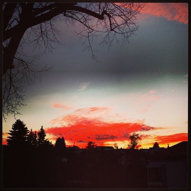 sunset, silhouette, tree, sky, orange color, beauty in nature, scenics, tranquility, tranquil scene, cloud - sky, nature, branch, idyllic, cloud, dramatic sky, low angle view, building exterior, house, built structure, dusk