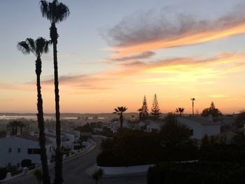 Silhouette trees and buildings against sky during sunset