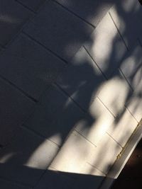 Close-up of shadow on floor