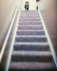 Low section of people walking on stairs