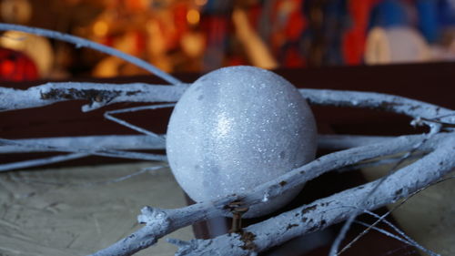 Close-up of crab on snow during winter