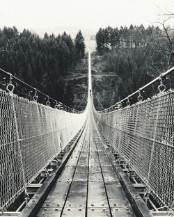 Wooden bridge leading towards tree