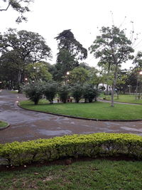 View of park by street against sky