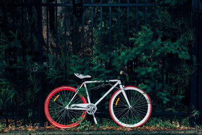 Bicycle in forest