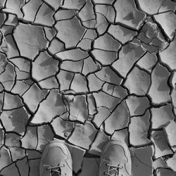 Low section of man standing on cracked land