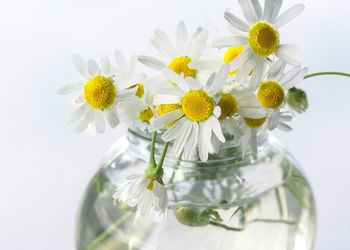 Close-up of vase on table