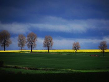 Trees on field against cloudy sky