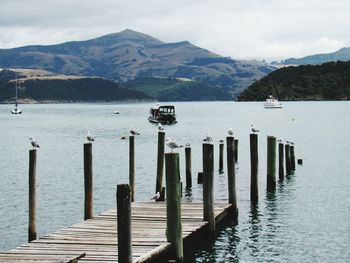 Wooden posts in lake against mountains