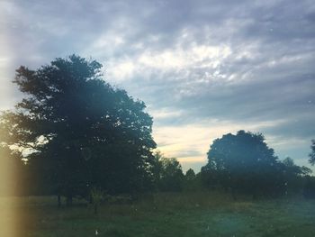 Trees on field against cloudy sky