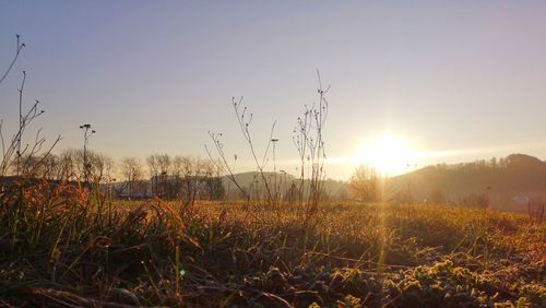 Scenic view of field against sky during sunset