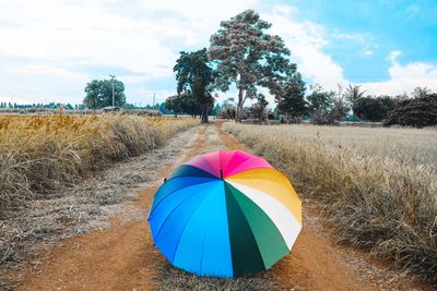 Multi colored umbrella on field against sky