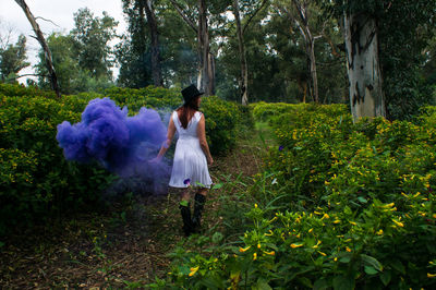 Beautiful women in white dress with smokebomb 