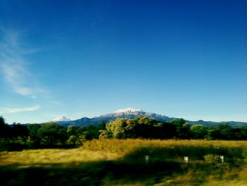 Scenic view of field against clear blue sky