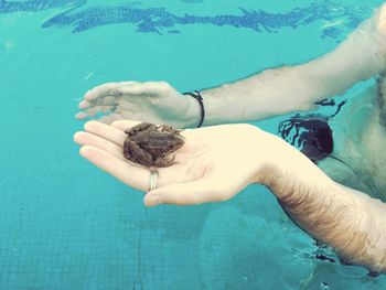 Close-up of person swimming underwater