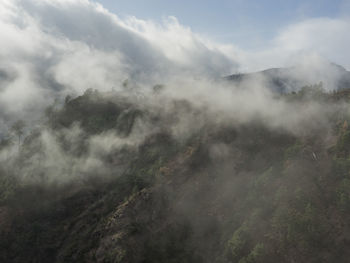 In the mountains of madeira