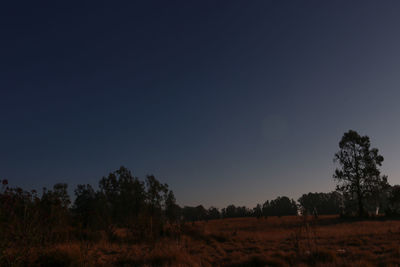 Trees on field against clear sky at dusk