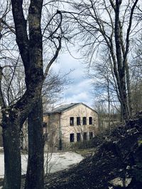 Bare tree by historic building against sky