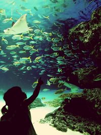 Rear view of girl standing by fish swimming in aquarium